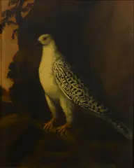 German School, A Gryfalcon in a landscape, oil on canvas