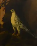 A Gryfalcon in a landscape by German School, oil on canvas, sold Dec 2015