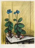 Bernard Buffet, Primevères Bleues (S. 336), 1980, Lithograph in colors on wove paper