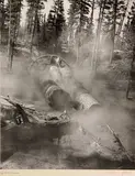 Berenice Abbott, Logging Machinery, from Red River Lumber Co.