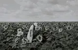Édouard Boubat, Ile de France (Champs de Tournesols)