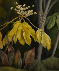 Douglass Ewell Parshall, Tropical Plants, oil on canvas