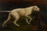 Charles Augustus Henry Lutyens, A Pointer on a moor, oil on canvas