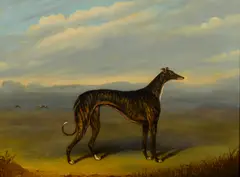 A greyhound in a landscape by Samuel Spode, oil on canvas, sold Aug 2015