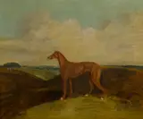 R. Carter, A greyhound in a landscape, oil on canvas