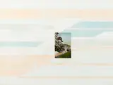 Hannah Wilke, Untitled