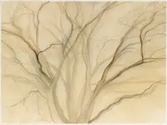 Sylvia Plimack Mangold, Chinese Scholar, 1987, pencil, gouache, ink and wash on paper