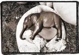 Peter Beard, Elephant Embryo, Uganda, from The End of the Game, Last Word from Paradise,, 1968, Gelatin silver print