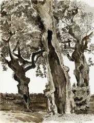 Van Day Truex, Villa Aldobrandini, Frascati, ink and watercolor on paper