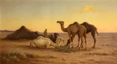 Matilda Lotz, Camels grazing at a camp, Biskra, Egypt, oil on canvas