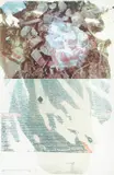 Robert Rauschenberg, Sublime, from Speculations (G. 1675), 1994-95, Color screenprint on Lana Lanaquarelle Watercolor paper