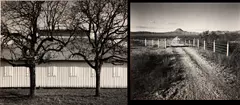 Frank Armstrong, Selected Images of Texas, 1980-84, Three gelatin silver prints, each signed and dated in ink in the margin; titled