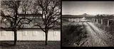 Frank Armstrong, Selected Images of Texas, 1980-84, Three gelatin silver prints, each signed and dated in ink in the margin; titled
