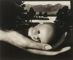 Creation by Ruth Bernhard, 1936, Platinum print, sold Jan 2015