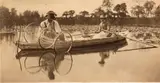 Peter Henry Emerson, Setting the Bow-Net, pl. II, from Life and Landscape on the Norfolk Broads, c. 1886, Platinum print, mounted on paper mount