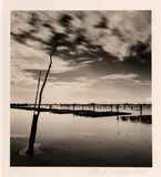 Oyster Beds, Study 2, Chausey Islands, France by Michael Kenna, 2007, Sepia toned gelatin silver print, sold Jan 2015