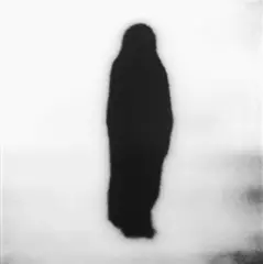 Nun 8 by Michal Rovner, 2000, Chromogenic print, flush-mounted on Sintra, sold Jan 2015