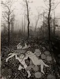 Jerry Uelsmann, Untitled (Forest Carpet), 1976, Gelatin silver print