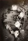Minor White, Frosted Window, Rochester, New York