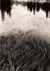 Don Worth, Grass and Water, Mt. Baker, Washington, 1962, Gelatin silver print, Special Edition Photograph Number Two printed 1977
