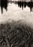 Don Worth, Grass and Water, Mt. Baker, Washington, 1962, Gelatin silver print, Special Edition Photograph Number Two printed 1977