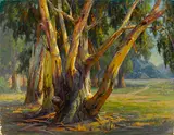 Paul A. Grimm, Old Eucalyptus, oil on canvas