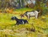 Cyrus Afsary, Two goats in a field