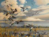 Harry Curieux Adamson, Ducks flighting off a marsh, oil on canvas