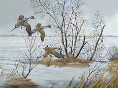S Ferreira, Ducks in flight, oil on canvas affixed to board