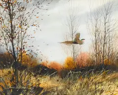 David Hagerbaumer, Valley quail; Pheasant rooster (2), first signed and dated 'David Hagerbaumer 1982' (lower left); second signed and dated 'David Hagerbaumer 1964' (lower left)