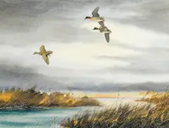 A flight of ducks; also a companion painting (2) by David Hagerbaumer, first signed and dated 'David Hagerbaumer 1956' (lower left); second signed and dated 'David Hagerbaumer 1962' (lower ri, sold Jul 2014