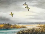 David Hagerbaumer, A flight of ducks; also a companion painting (2)