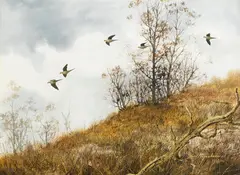 David Hagerbaumer, Pigeons flying over a hilltop, watercolor on paper