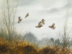 A pair of pintail in flight; Grouse taking to flight (2) by David Hagerbaumer, first signed and dated 'David Hagerbaumer 1966' (lower left); second signed and dated 'David Hagerbaumer 1966' (lower le, sold Jul 2014
