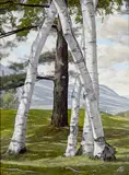 Luigi Lucioni, The Pine through the Birches