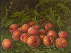 Levi Wells Prentice, Peaches, oil on canvas