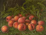 Levi Wells Prentice, Peaches, oil on canvas