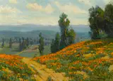 Benjamin Brown, Poppies near Pasadena, California, oil on canvas
