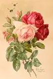Paul de Longpré, Roses and bumblebees