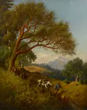 Virgil Williams, Traveler in the woods, oil on canvas