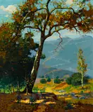 Ferdinand Kaufmann, Sycamores in mid-July, Southern California, 1940, oil on canvas affixed to board