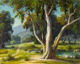 Paul A. Grimm, Eucalyptus tree, oil on canvas