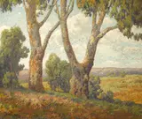 Majestic trees with a landscape beyond by Maurice Braun, oil on canvas, sold Nov 2014