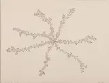 Katie Holten, A Rare Psychedelic (for your home), 2005, ink on paper