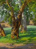 Paul A. Grimm, Trees and Shadow, oil on board