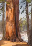 Albert Thomas Derome, Sketched from train, Palisades to Eureka, Nevada; Kerckhoff Head, Big creek above Fresno, 1921; Redwoods near Richardson Grove, Humboldt; Sequoia near lodge in Sequoia National Park (four)