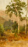 Charles A. Fries, Trees, San Diego Area