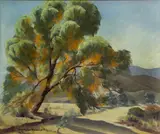 Sam Hyde Harris, Desert tree