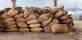 William A. Coulter, Sacks of wheat (Wheat at $2.15)