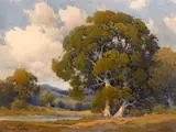 Oaks, Marin County by Percy Gray, watercolor on paperboard, sold Aug 2014